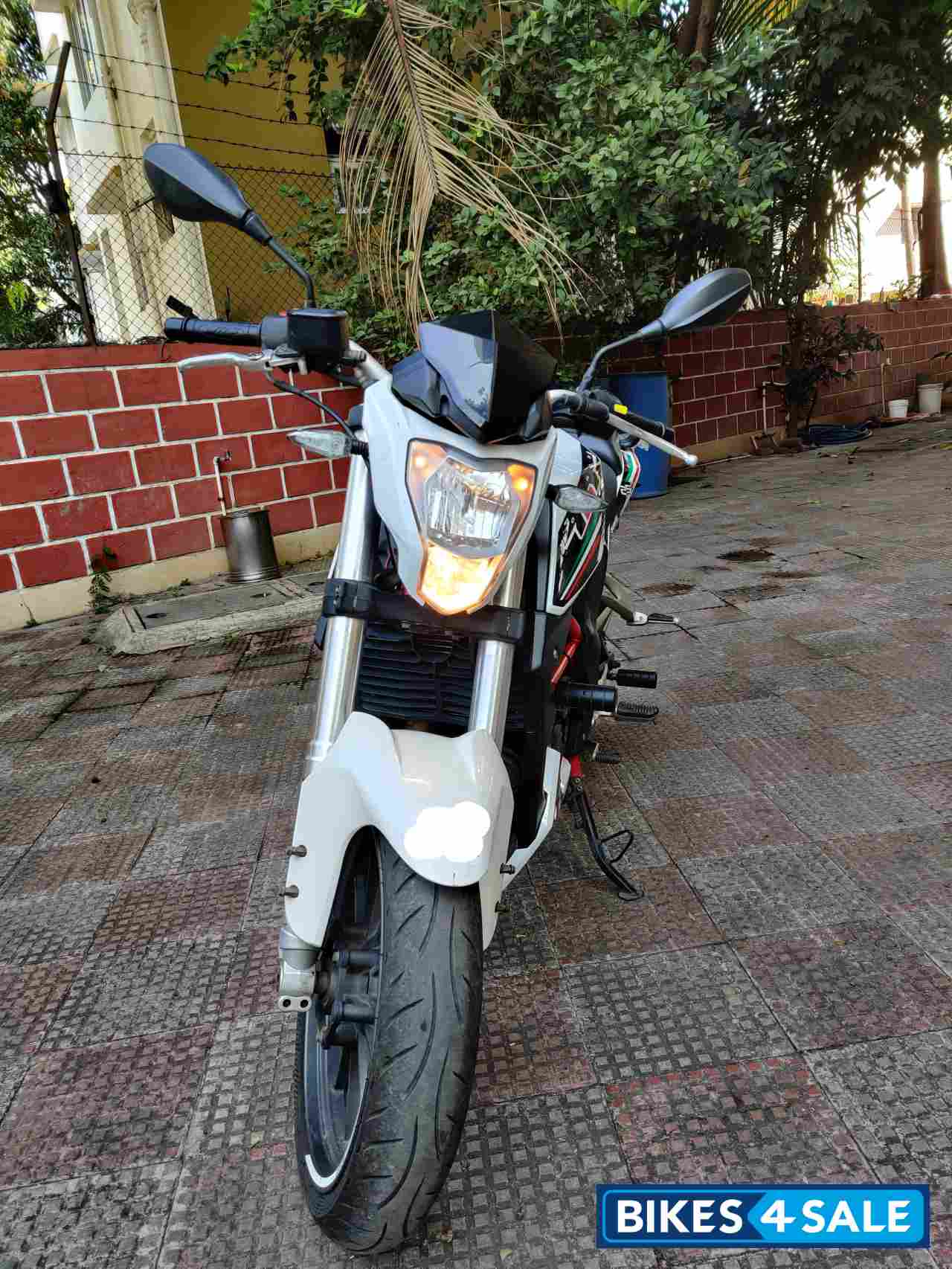 White Benelli TNT 25