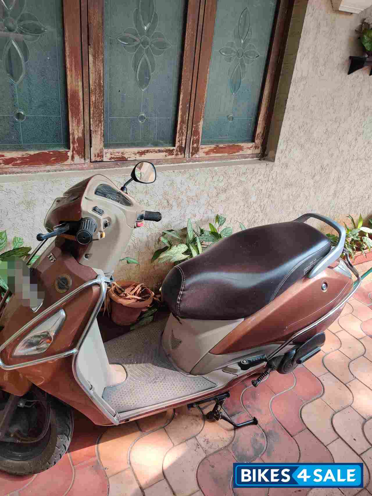 Brown TVS Jupiter ZX