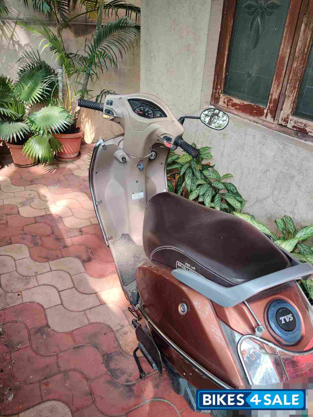 Brown TVS Jupiter ZX