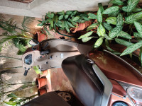 Brown TVS Jupiter ZX