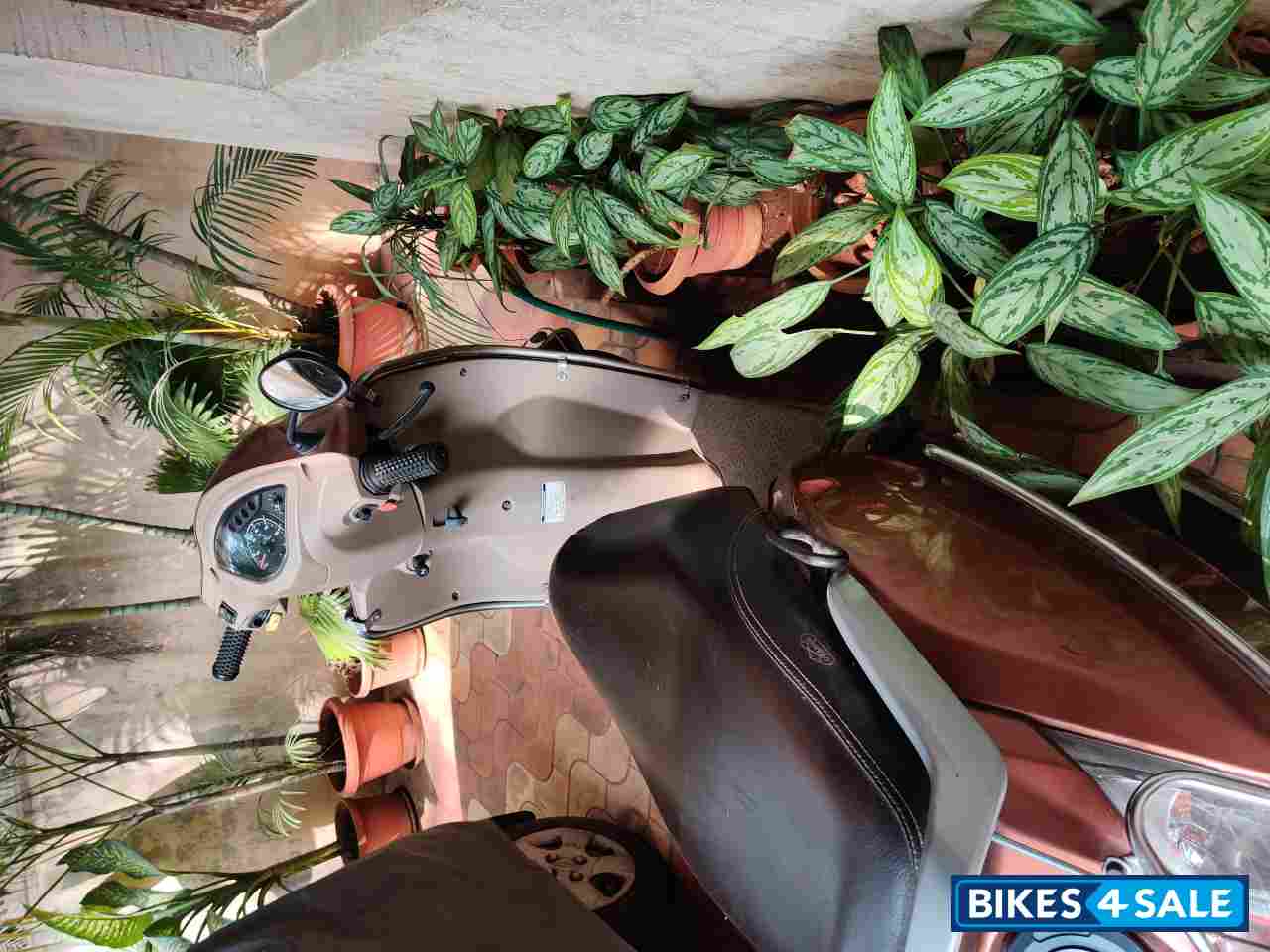 Brown TVS Jupiter ZX