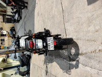 Royal Enfield Himalayan Sleet