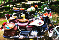 UM Renegade Commando Classic 2018 Model