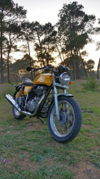 Gt Yellow Royal Enfield Continental GT 535