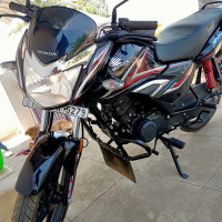 Black Honda Shine BS6