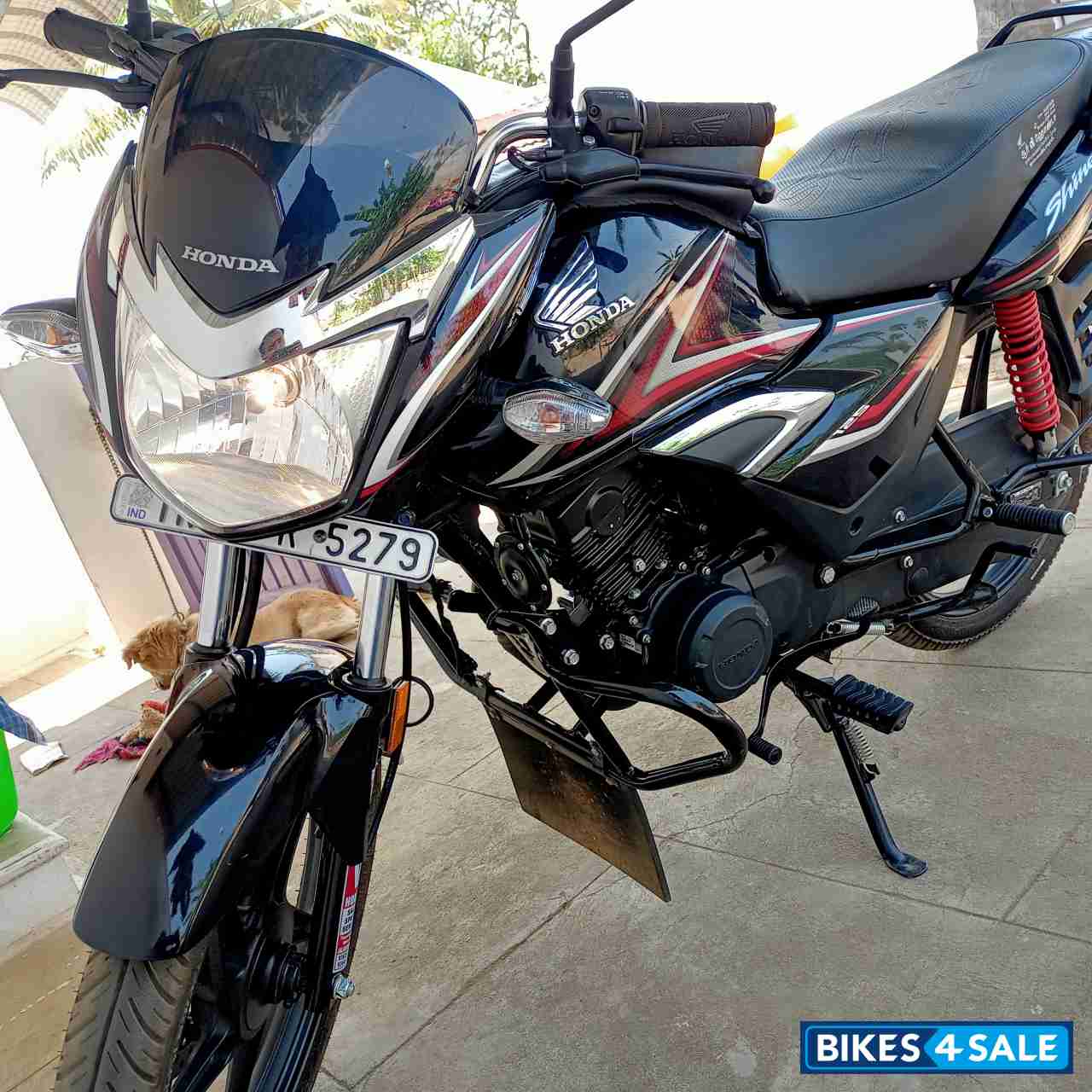 Black Honda Shine BS6