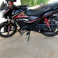 Black Honda Shine BS6