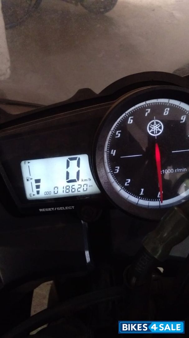 Black White Grey Yamaha YZF R15