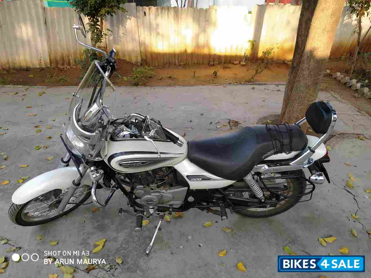 Moon White Bajaj Avenger Cruise 220