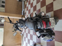 Bajaj Avenger Street 160 BS6 2019 Model