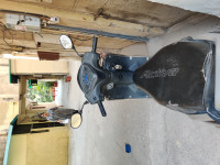 Majestic Brown Honda Activa 5G