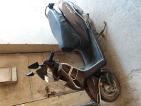 Majestic Brown Honda Activa 5G
