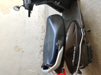 Majestic Brown Honda Activa 5G