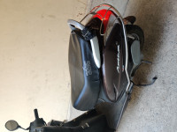 Majestic Brown Honda Activa 5G