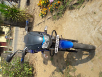 Bajaj XCD 125 DTS-Si 2008 Model