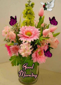 Yamaha SZ-RR 2015 Model