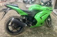 Parrot Green Kawasaki Ninja 250R