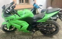 Parrot Green Kawasaki Ninja 250R