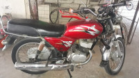 Red TVS MAX 100R