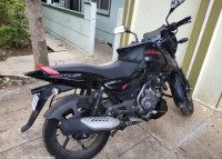 Bajaj Pulsar 150 Neon  Model