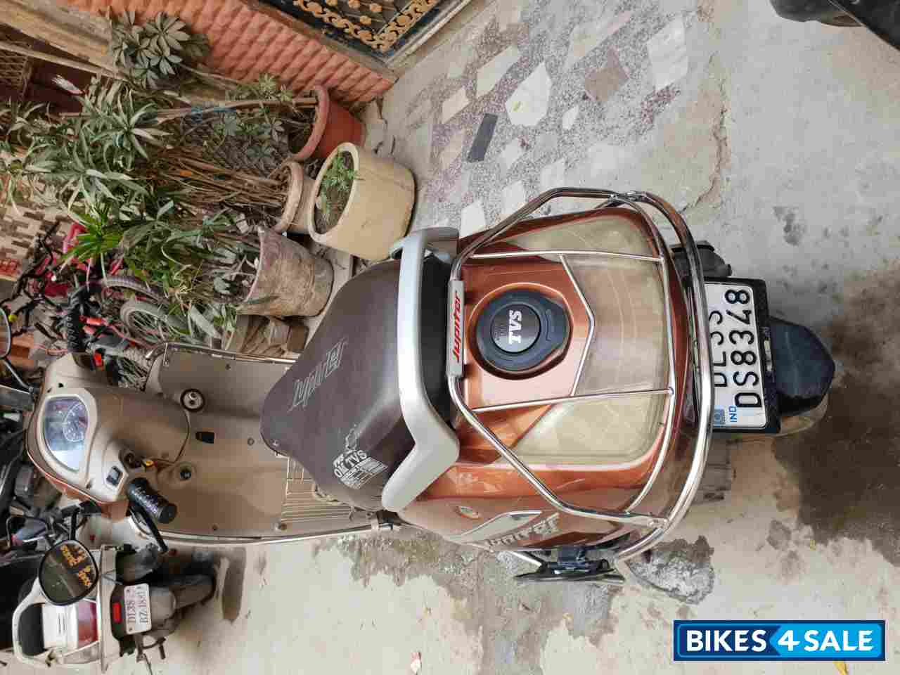 Brown TVS Jupiter ZX