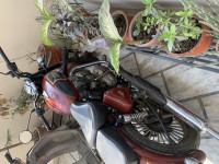 Chestnut Royal Enfield Classic 350