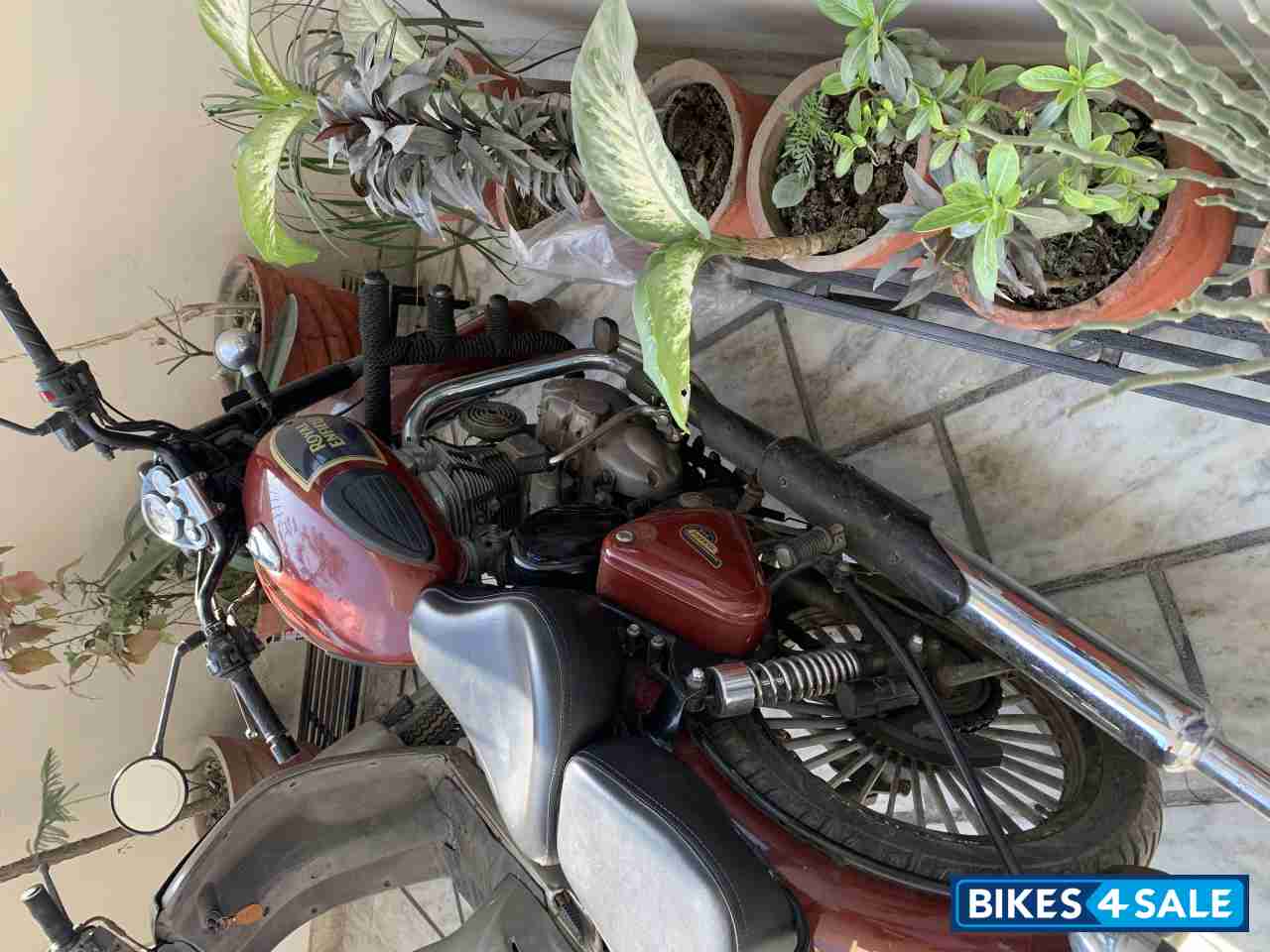 Chestnut Royal Enfield Classic 350