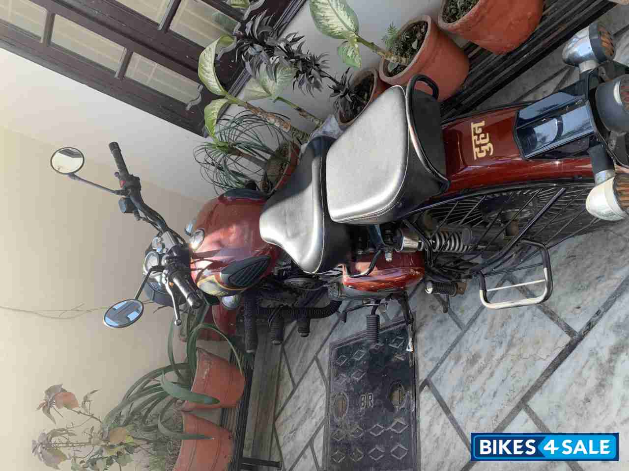 Chestnut Royal Enfield Classic 350