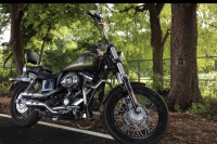Harley Davidson Street Bob