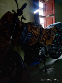 Black Decal Blue Bajaj Pulsar 150 Twin Disc