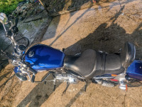 Harley Davidson 1200 Custom