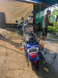 Harley Davidson 1200 Custom