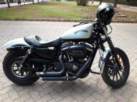 Silver Harley Davidson Iron 883