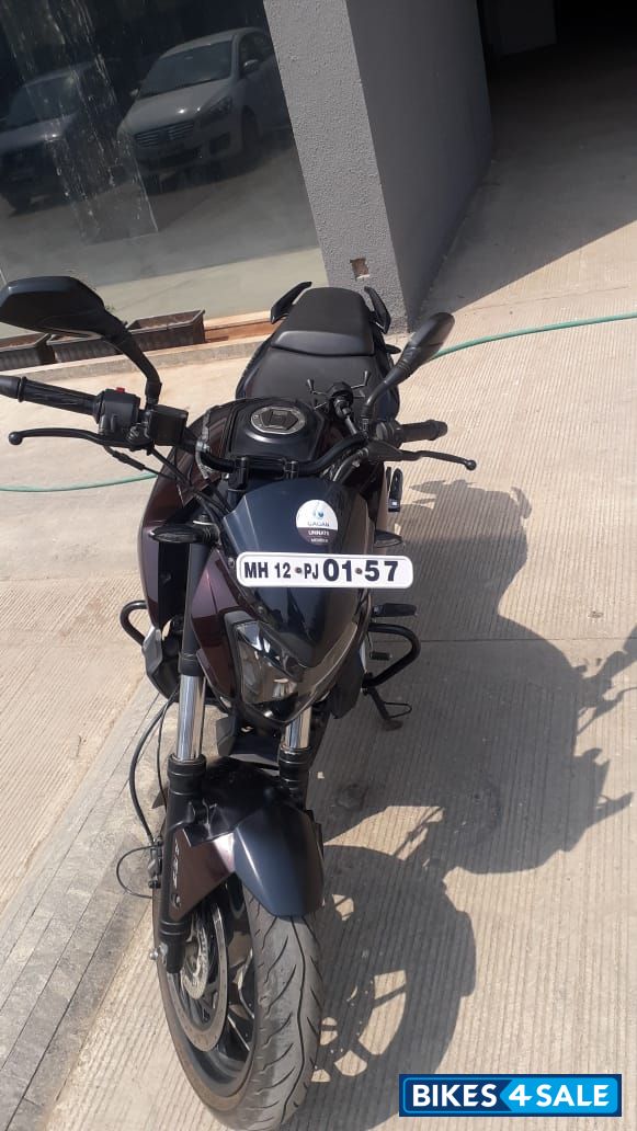 Chocklet Brown Bajaj Dominar 400 Disc