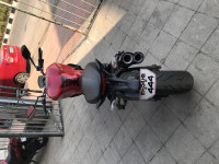 Red Ducati Monster 821