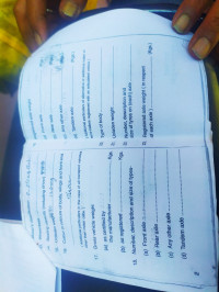 Suzuki SlingShot Plus