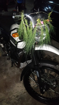 Royal Enfield Himalayan BS IV 2019 Model