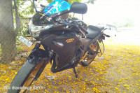 Modified,metallic Black And Cr Honda CBR 250R
