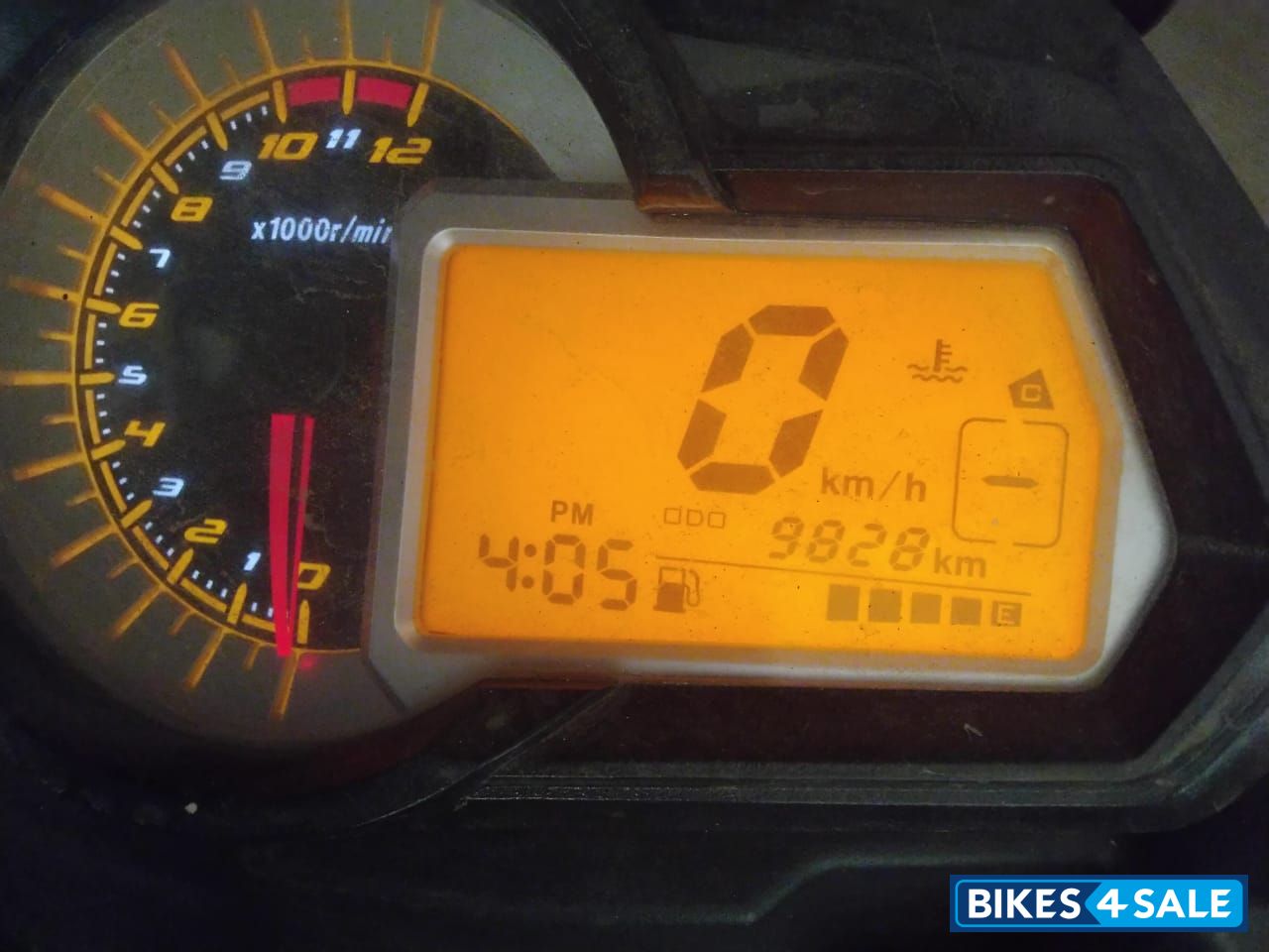 White For Benelli Benelli TNT 25