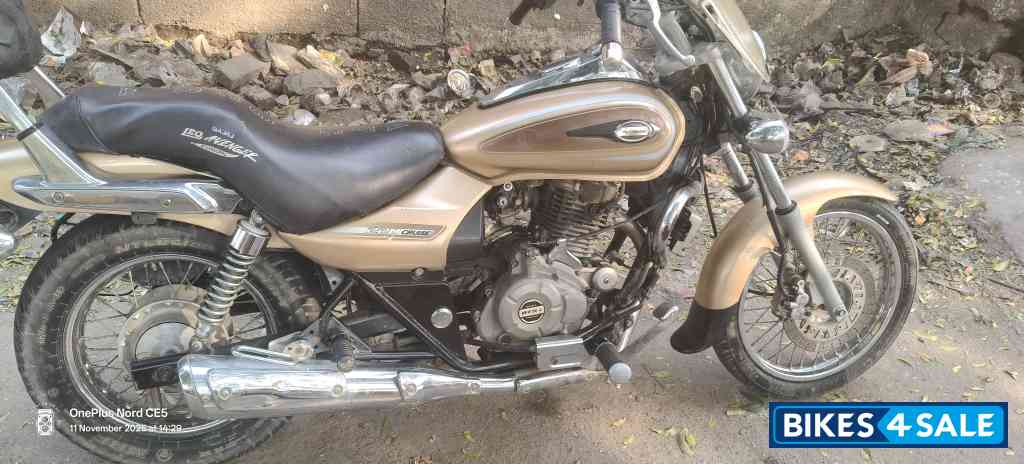 Desert Gold Bajaj Avenger Cruise 220