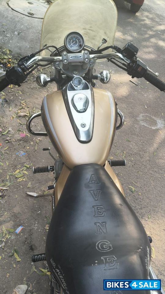 Desert Gold Bajaj Avenger Cruise 220