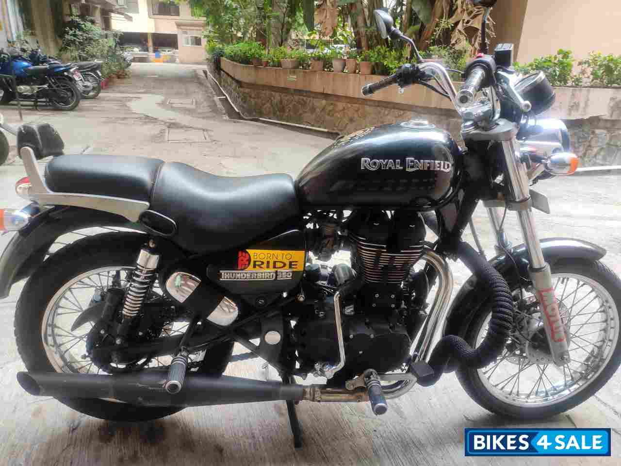 Black Royal Enfield Thunderbird 350