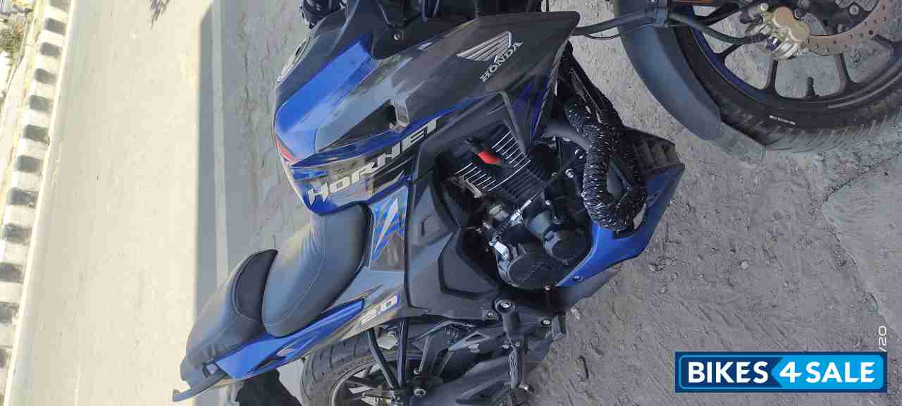 Mat Blue Honda Hornet 2.0