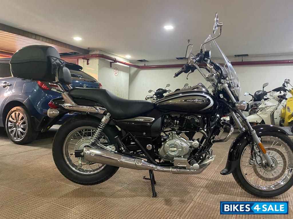 Auburn Black Bajaj Avenger Cruise 220 BS6