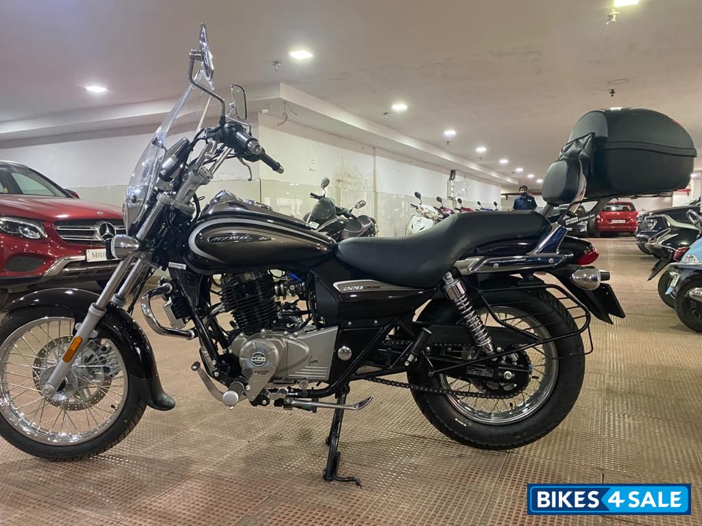 Auburn Black Bajaj Avenger Cruise 220 BS6