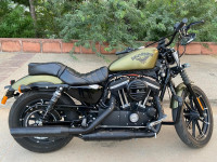 Olive Green Harley Davidson Iron 883