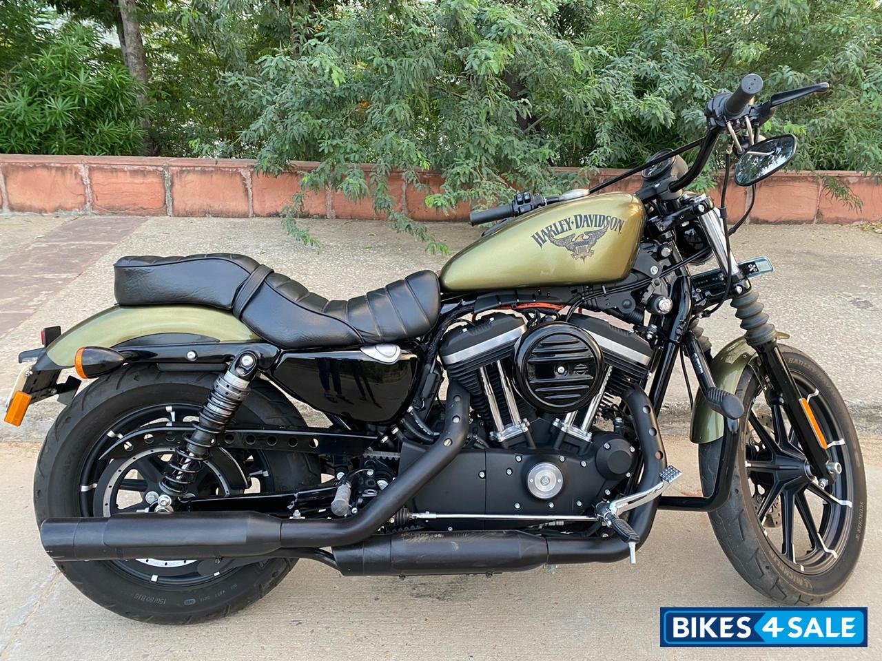 Olive Green Harley Davidson Iron 883