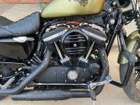 Olive Green Harley Davidson Iron 883