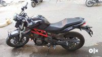Benelli TNT 300