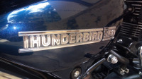 Marine Blue Royal Enfield Thunderbird 350